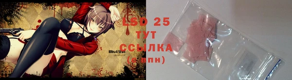 PSILOCYBIN Елизово
